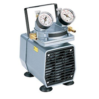 Gast DAA-V715-EB High-Capacity Vacuum Pump